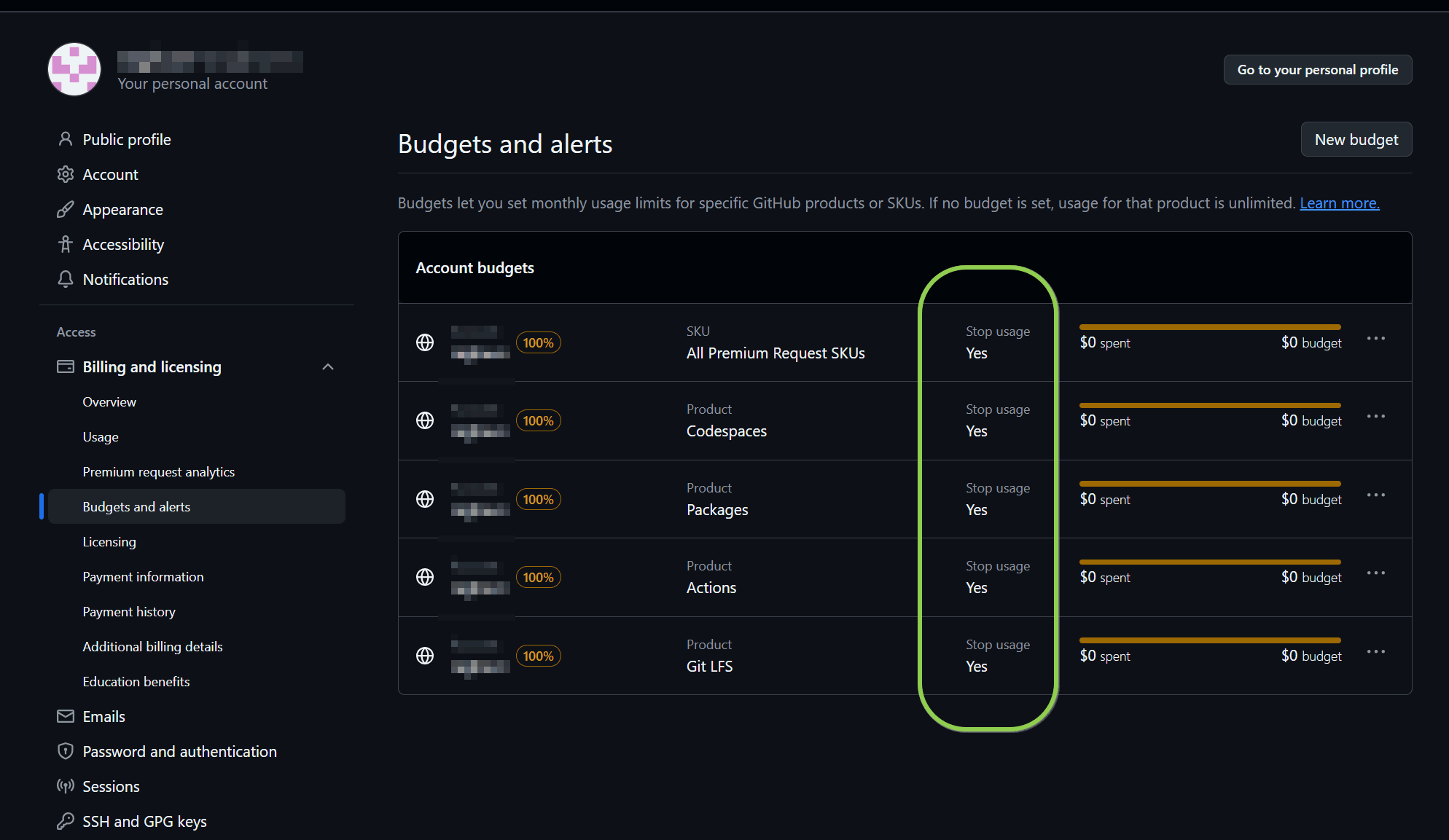 GitHub Budget Controls
